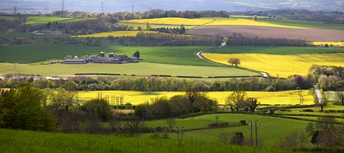 Palterton towards Sutton Scarsdale farm and hall spring 2026 sun This landscape photograph captures the view of Palterton towards Sutton Scarsdale farm and hall on a sunny spring afternoon. The fields are dominated by vibrant yellow rapeseed, reflecting the peak of the agricultural season, while lush green pastures and rows of trees create contrasting shadows across the land. In the middle distance, Sutton Scarsdale Farm is clearly visible, and beyond that, the historic Sutton Scarsdale Hall sits prominently, surrounded by the rolling countryside. The presence of mature trees and the bright sunlight accentuate the rural harmony of the scene, showcasing the agricultural activity typical of the area in spring. The photograph is notable for its depiction of the rural landscape, the interplay between light and shadow, and the characteristic features of Sutton Scarsdale, making it a vivid example of both agriculture and natural beauty during the season.